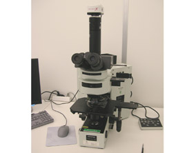 Picture of LOM - Olympus - Optical Microscope