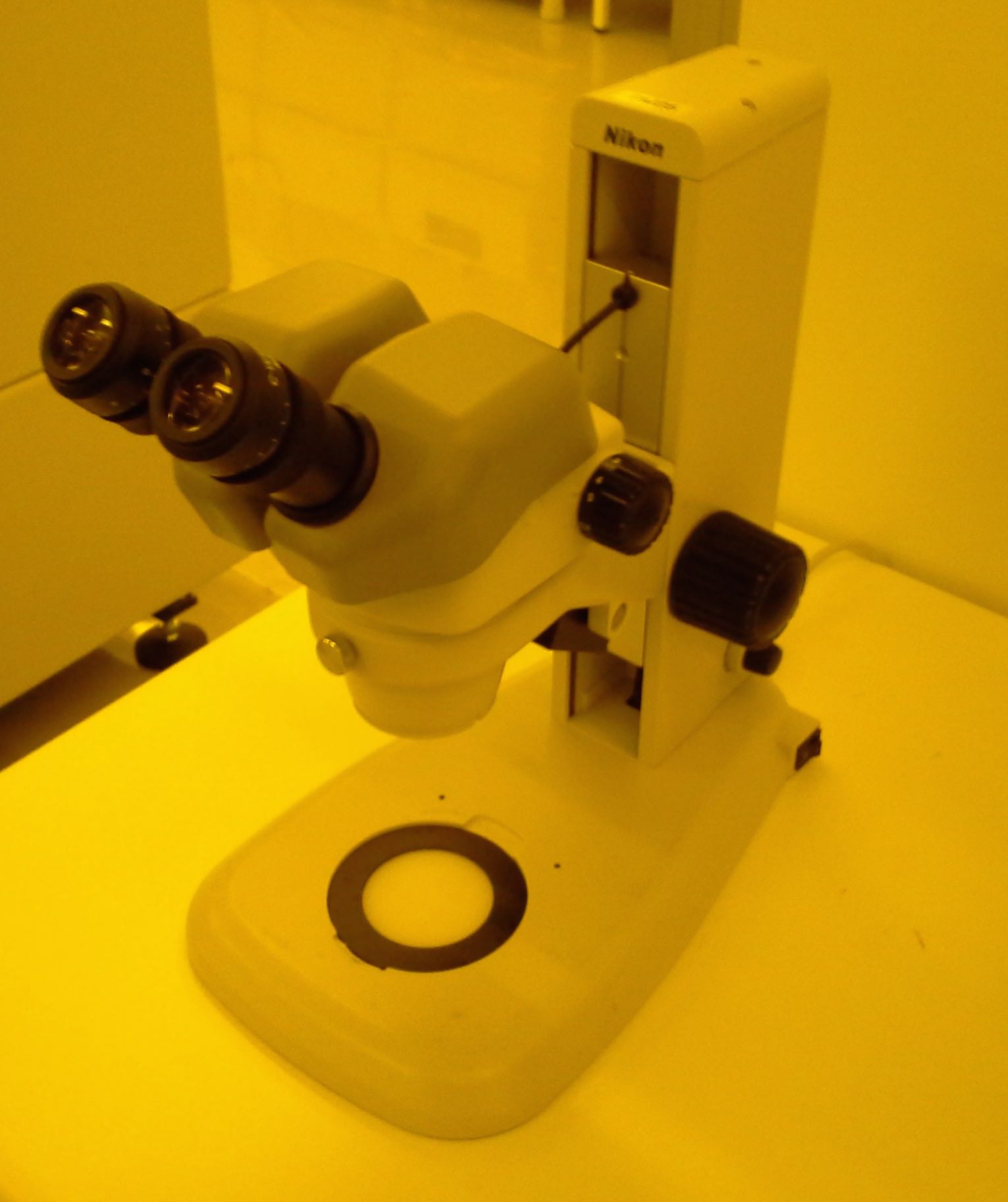 Picture of Stereo Microscope